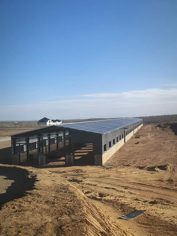 69a2aad1a0309.jpg 微信图片_20260228162441_363_812.jpg